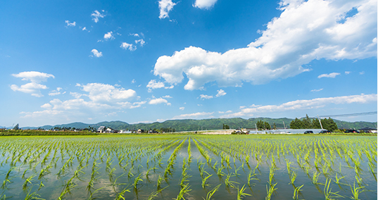 取り上げられることの少なかった農薬問題